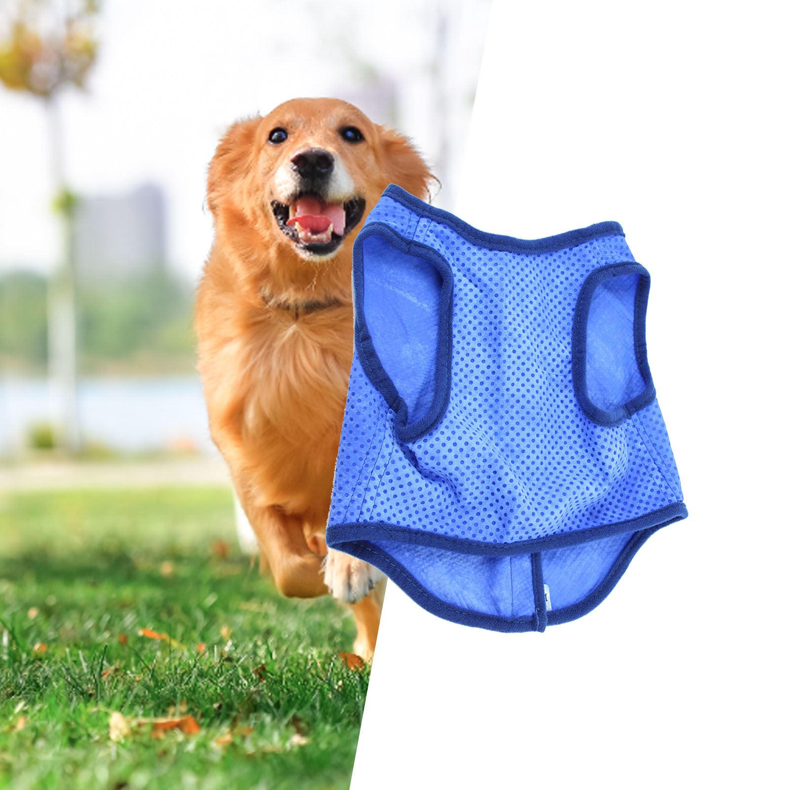Dog Cooling Vest Breathable Su - Outdoor Sport Coat บทวิจารณ์และราคา