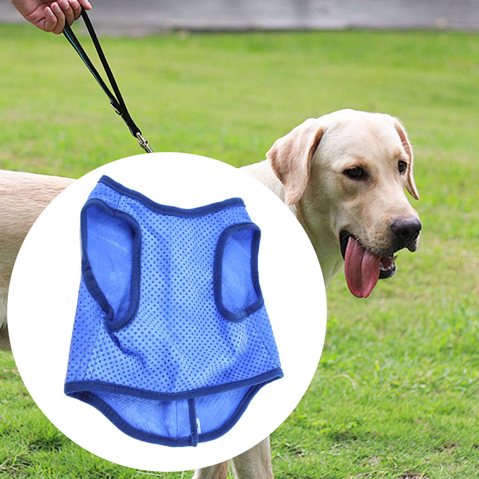 Dog Cooling Vest Breathable Su - Outdoor Sport Coat บทวิจารณ์และราคา