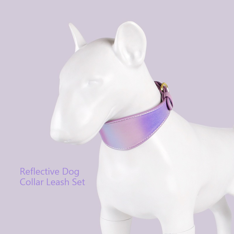 REFLECTIVE LEATHER DOG COLLAR  - Headcollar Rope Set บทวิจารณ์และราคา