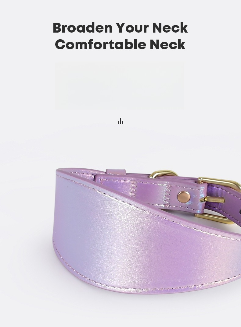REFLECTIVE LEATHER DOG COLLAR  - Headcollar Rope Set บทวิจารณ์และราคา