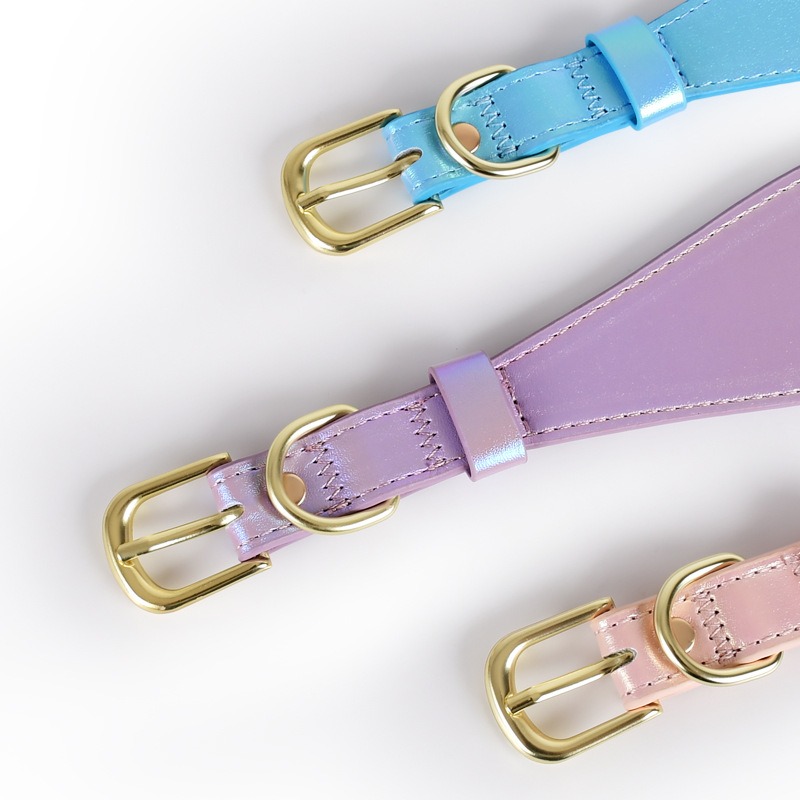 REFLECTIVE LEATHER DOG COLLAR  - Headcollar Rope Set บทวิจารณ์และราคา