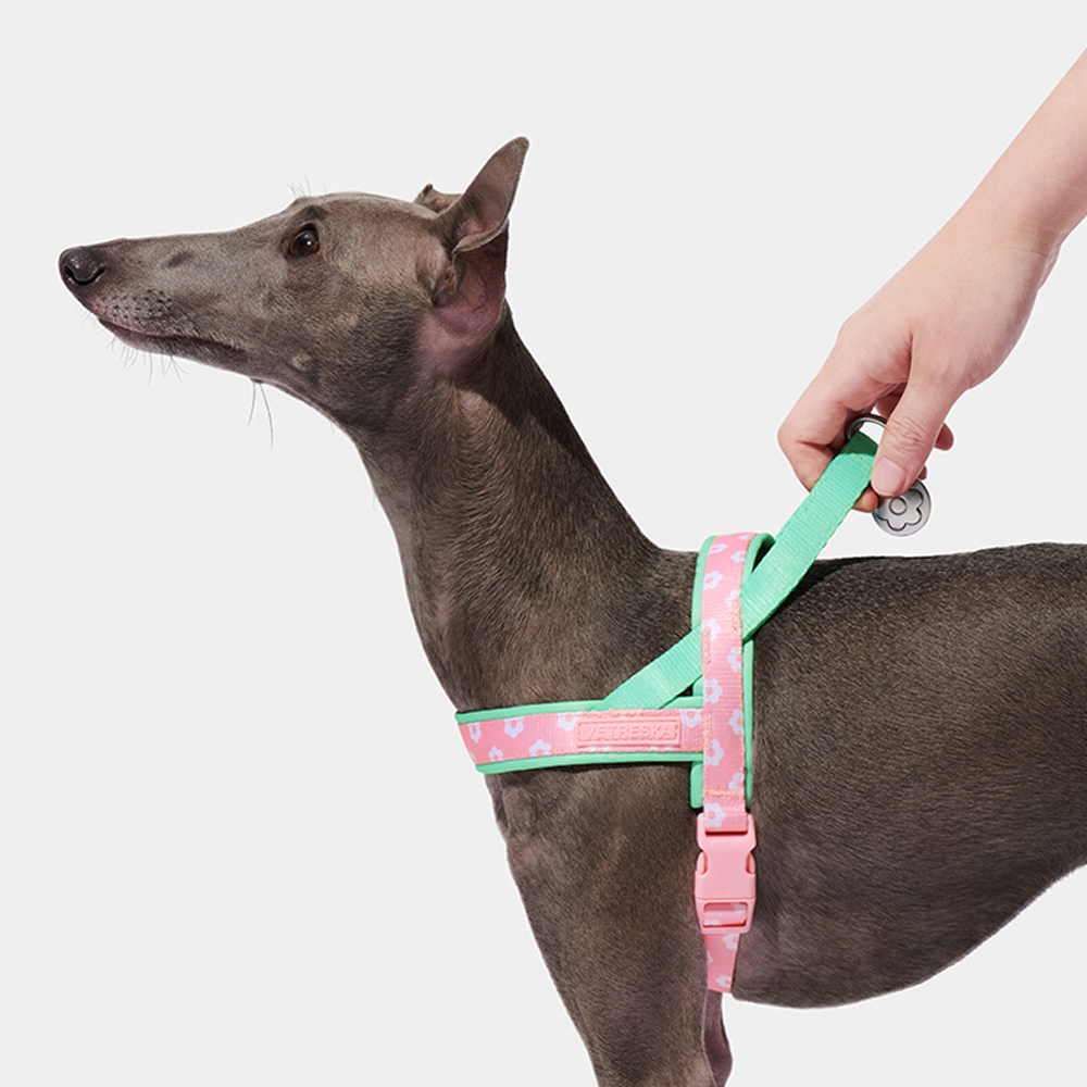Luxury Pet Chest Strap Tractio - Headcollar Rope Set บทวิจารณ์และราคา