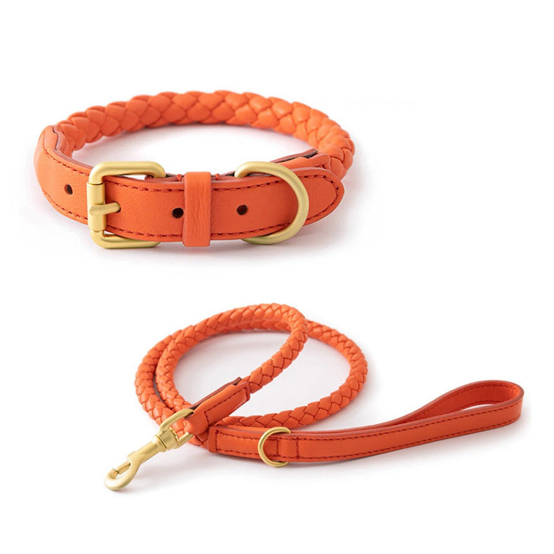 Adjustable Braided Leather Pet - Headcollar Rope Set บทวิจารณ์และราคา